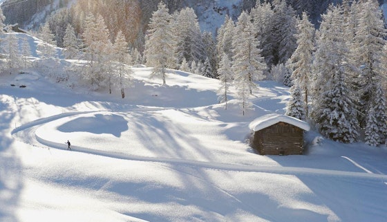 Cross Country Skiing Lessons with Hilde Cross Country Skiing Lessons with Hilde